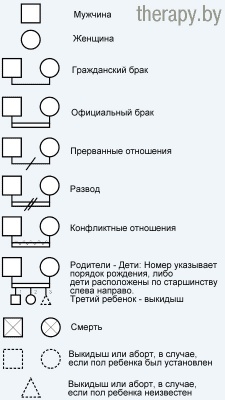 Образец генограммы семьи