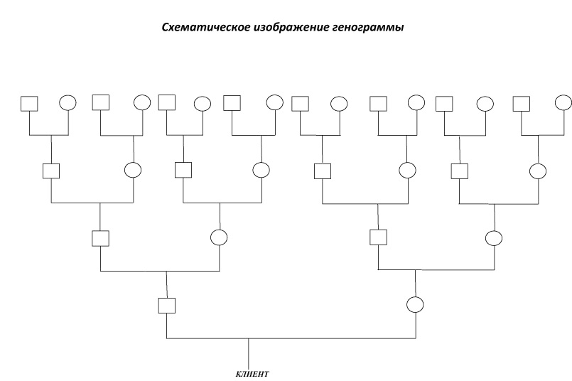 Генограмма семьи схема